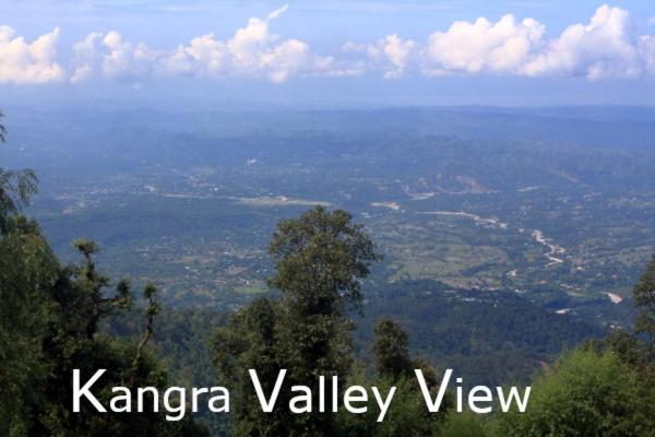 Himalayan Homestay Dharamshala Eksteriør billede
