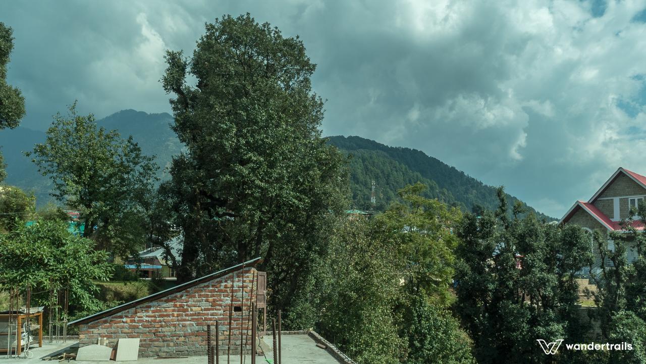 Himalayan Homestay Dharamshala Eksteriør billede